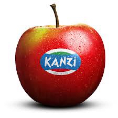 Kanzi