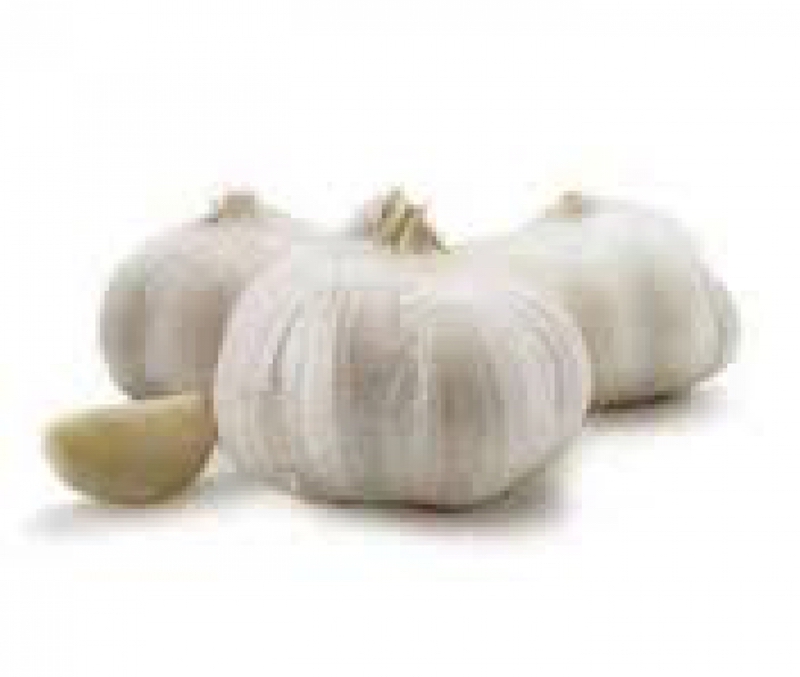 Knoflook 