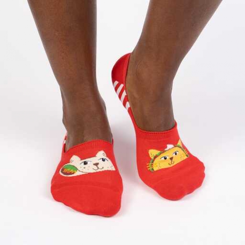 Taco Cat 36-39