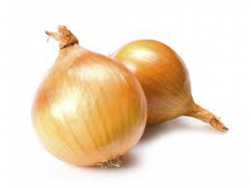 Uien netje van 1kg